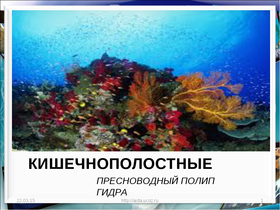 Что случилось с кракеном маркетплейс